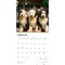 Old English Sheepdogs | 2026 12 x 24 Inch (Hanging) Monthly Square Wall Calendar | Plastic-Free